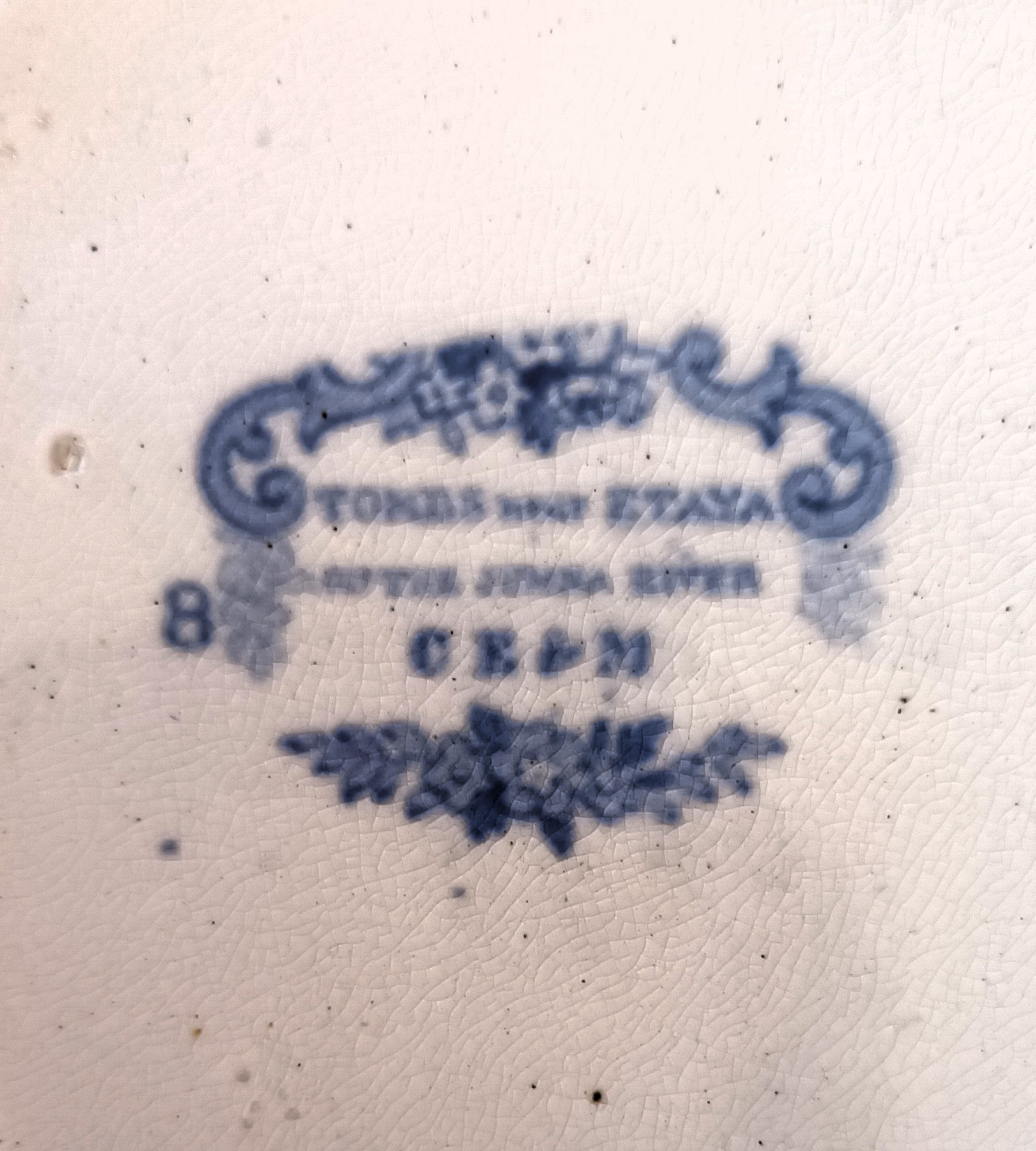 Antique English Victorian Blue and White Transfer Plate ~ "Tombs near Etaya" ~ Cork Edge & Malkin - Image 3